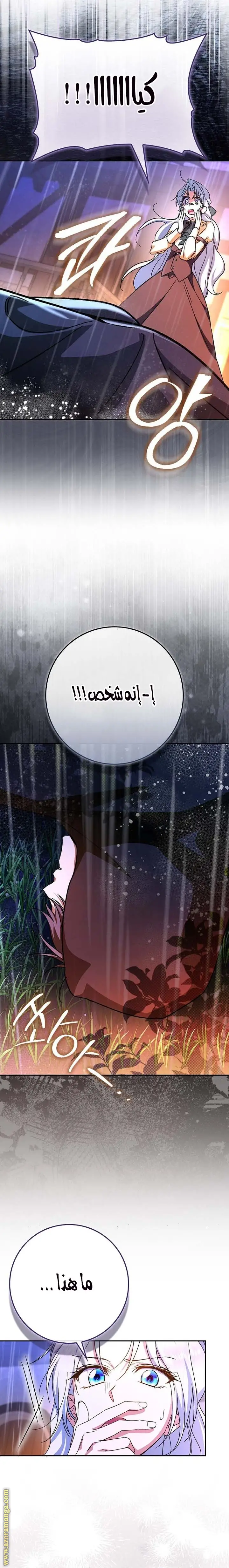الصفحة 25