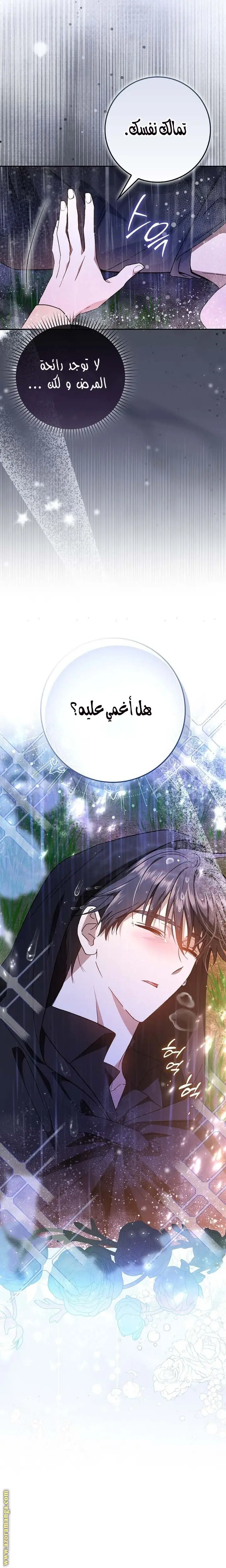 الصفحة 28