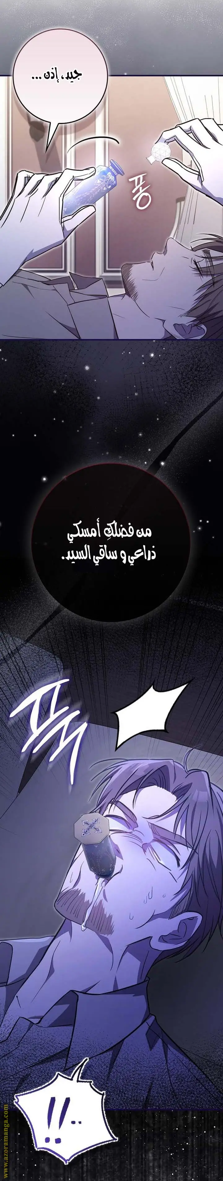 الصفحة 19