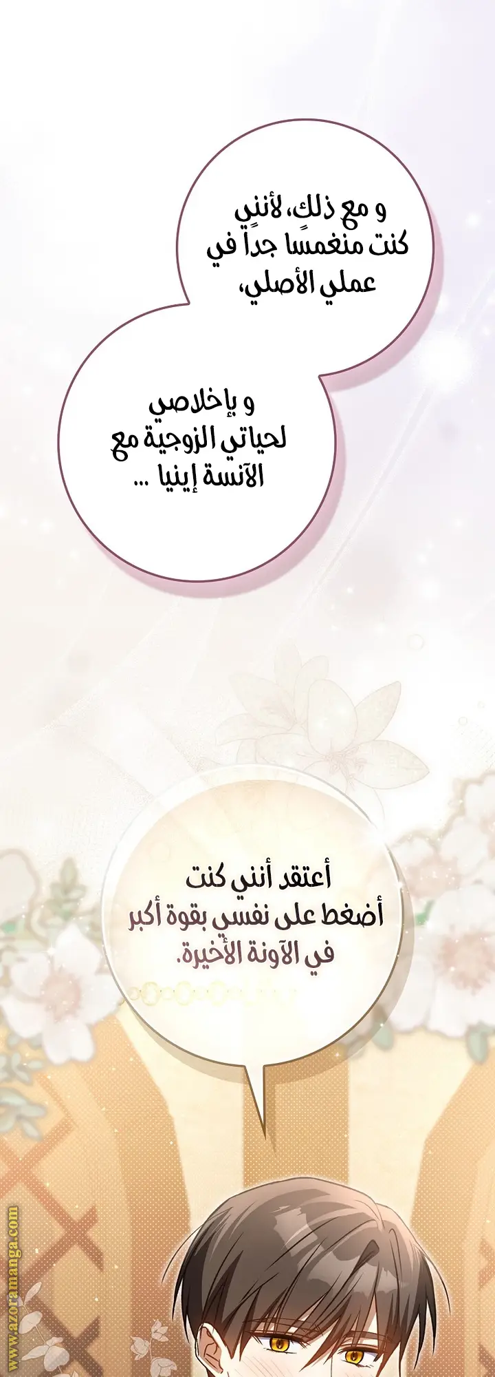 الصفحة 17