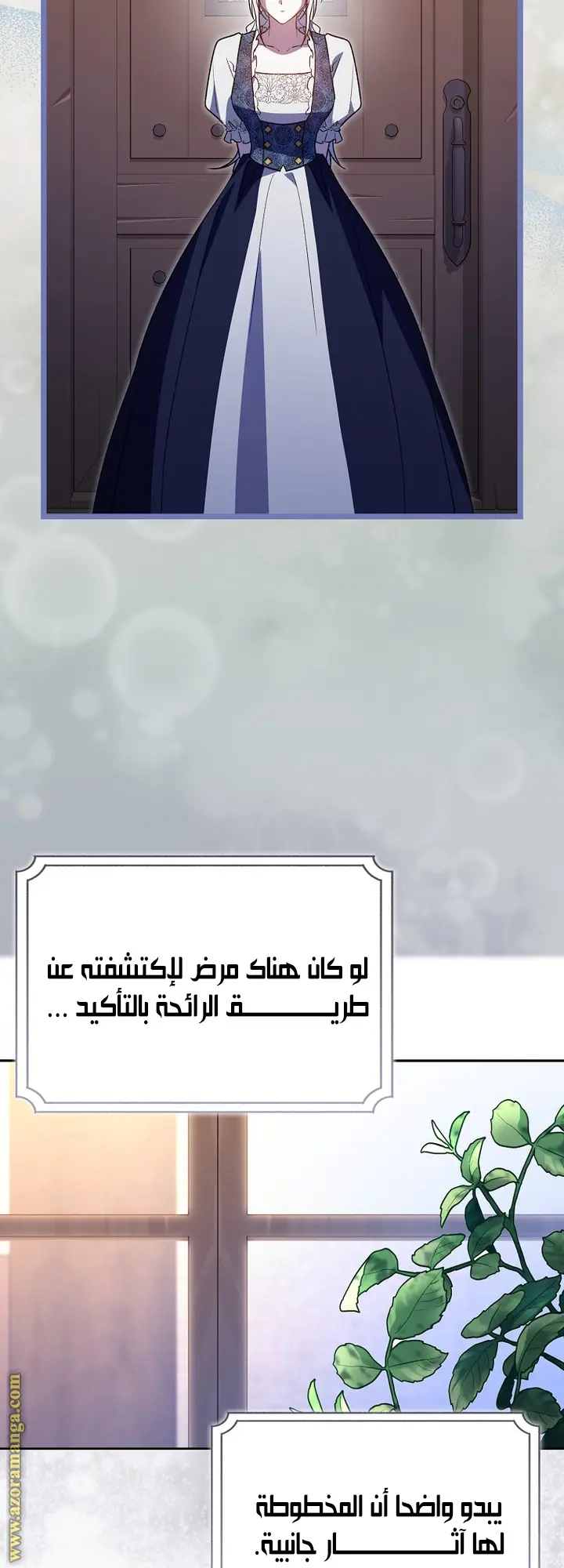 الصفحة 28
