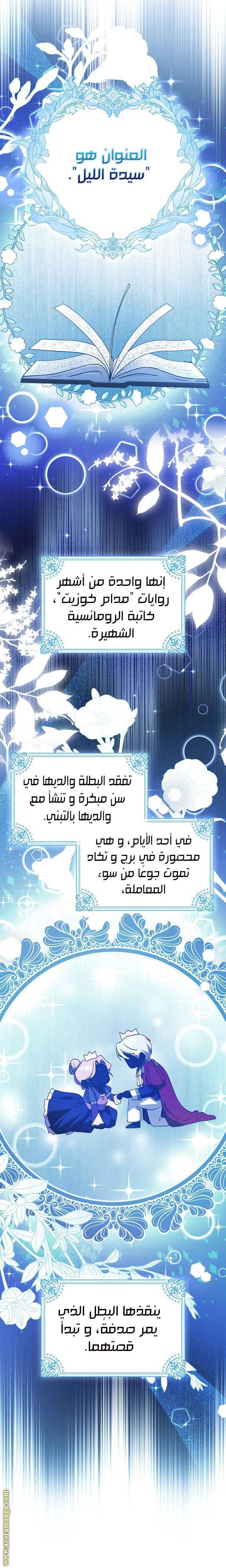 الصفحة 17