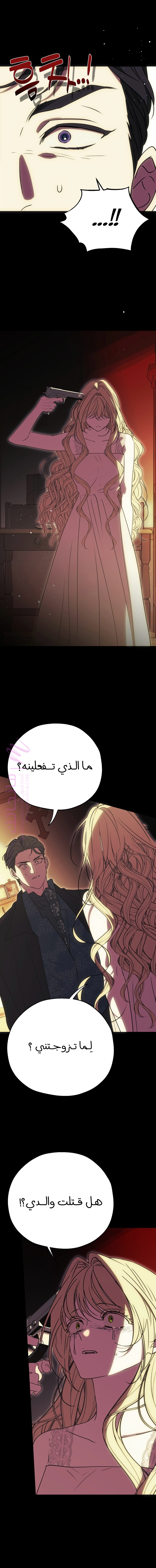 الصفحة 30
