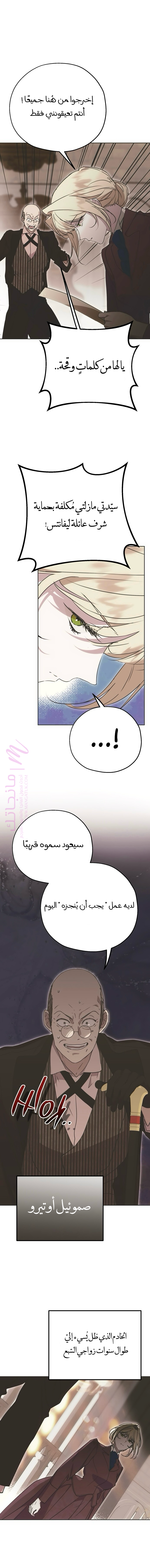 الصفحة 14