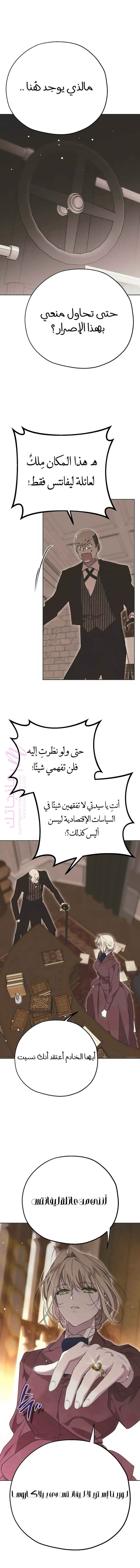 الصفحة 17