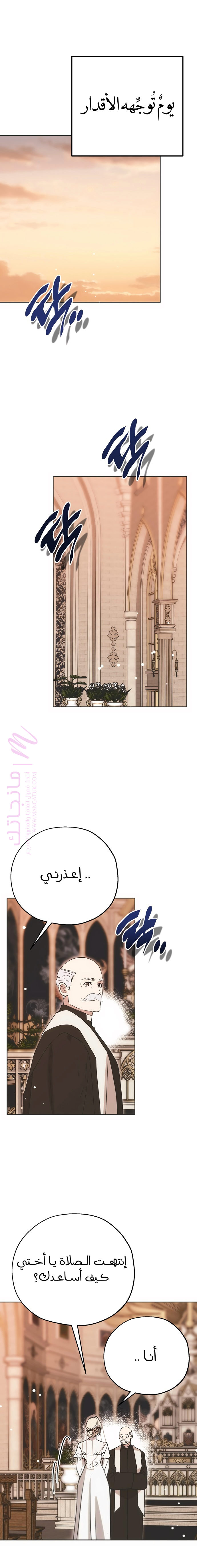 الصفحة 17