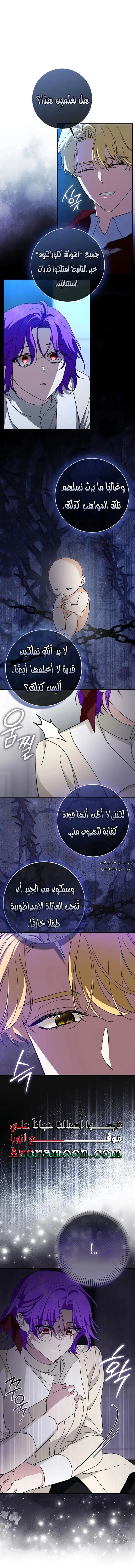 الصفحة 17