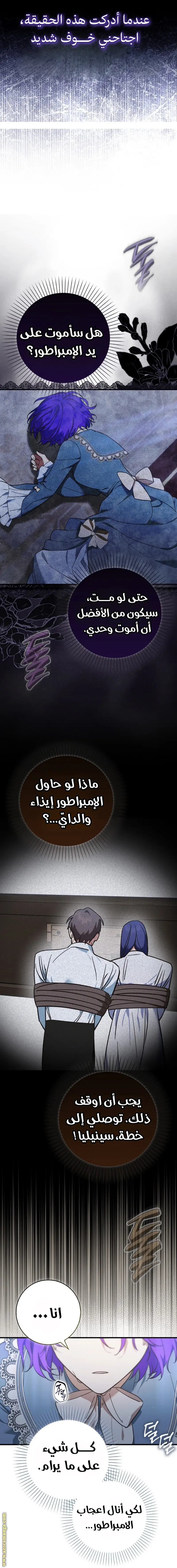 الصفحة 17