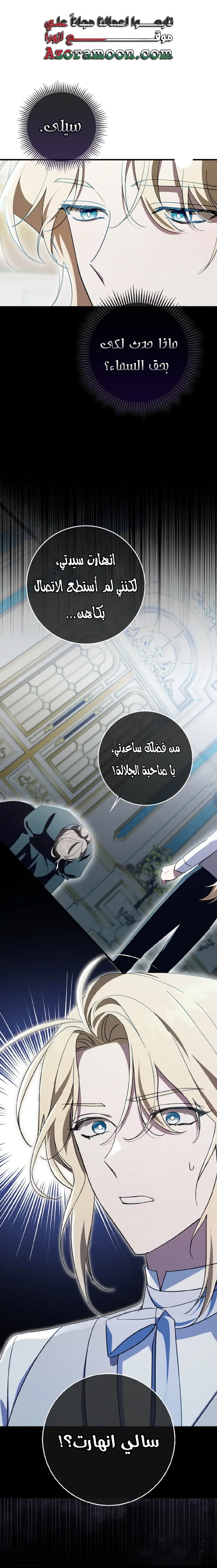 الصفحة 19