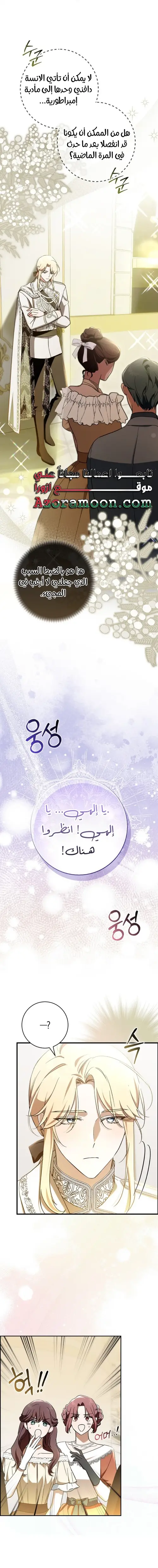 الصفحة 17