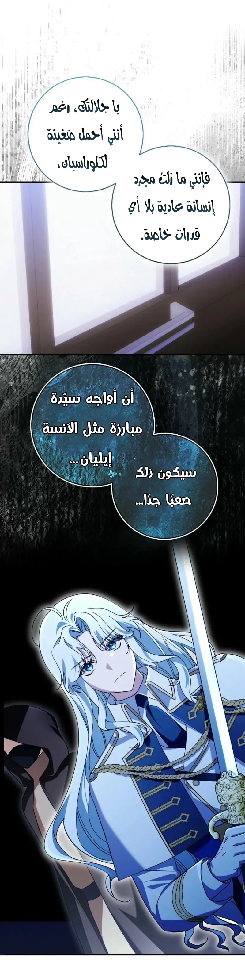 الصفحة 17