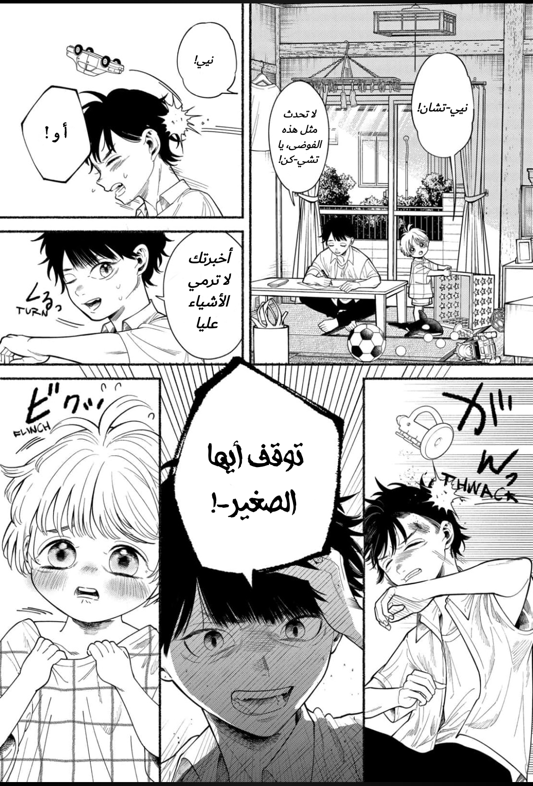 الصفحة 14