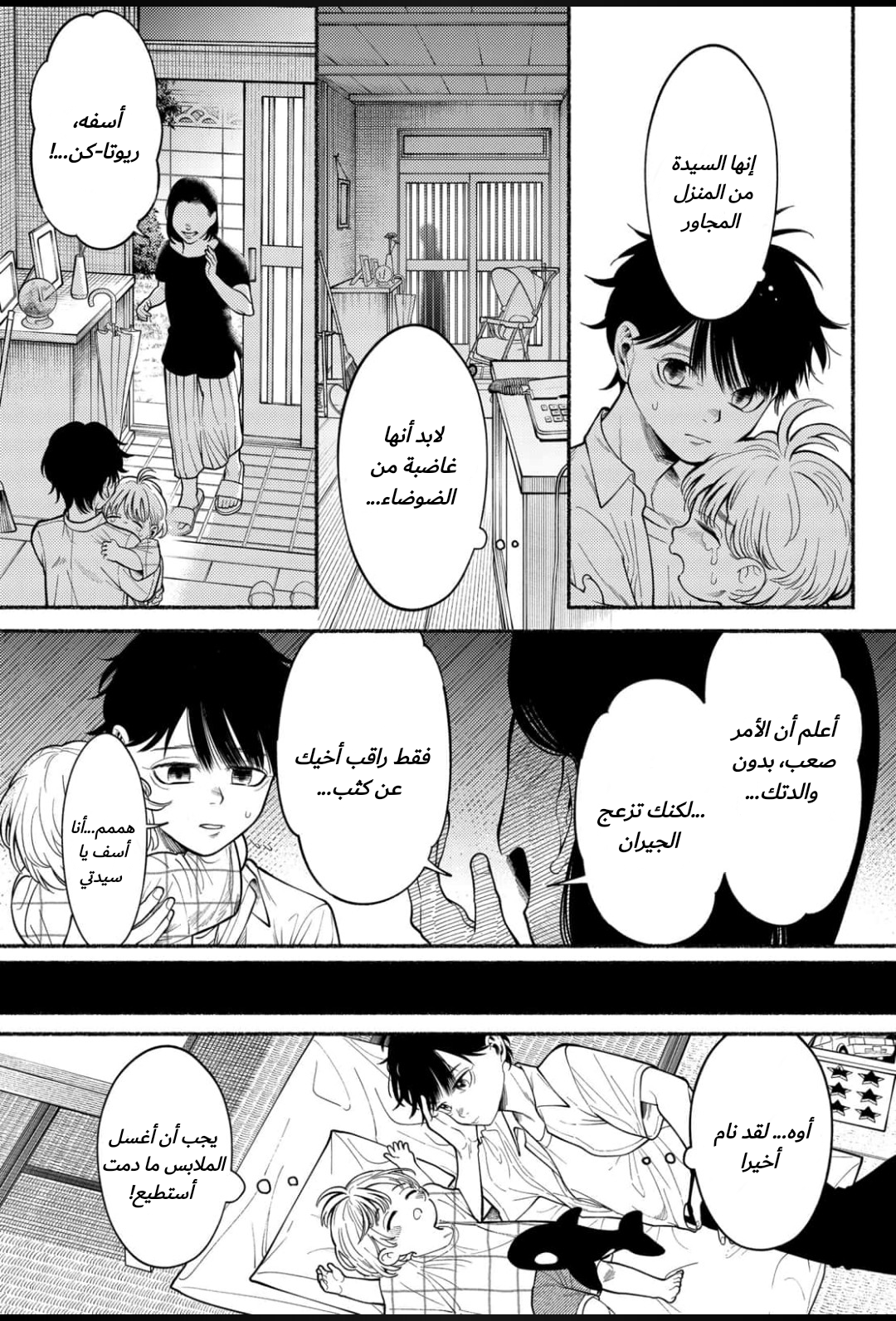 الصفحة 17