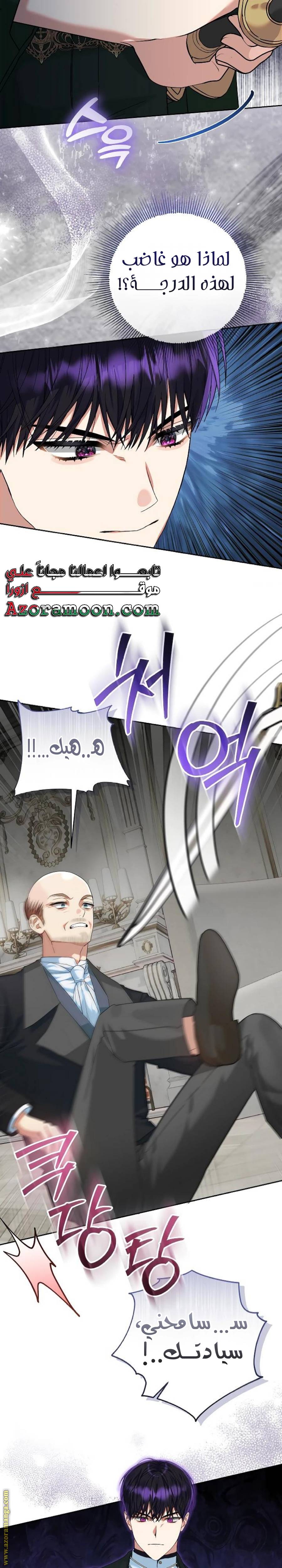 الصفحة 16