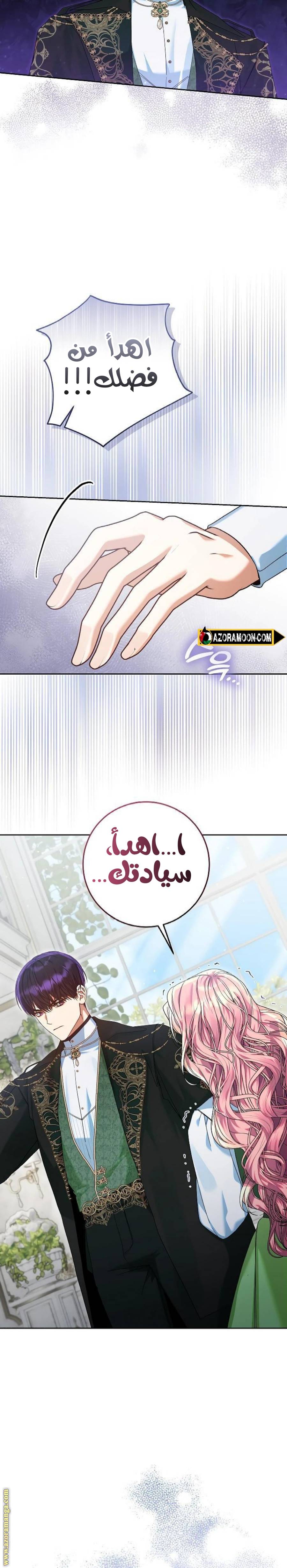 الصفحة 17
