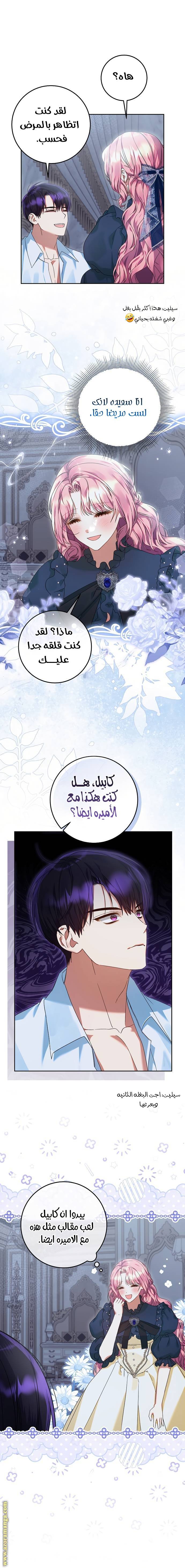 الصفحة 13