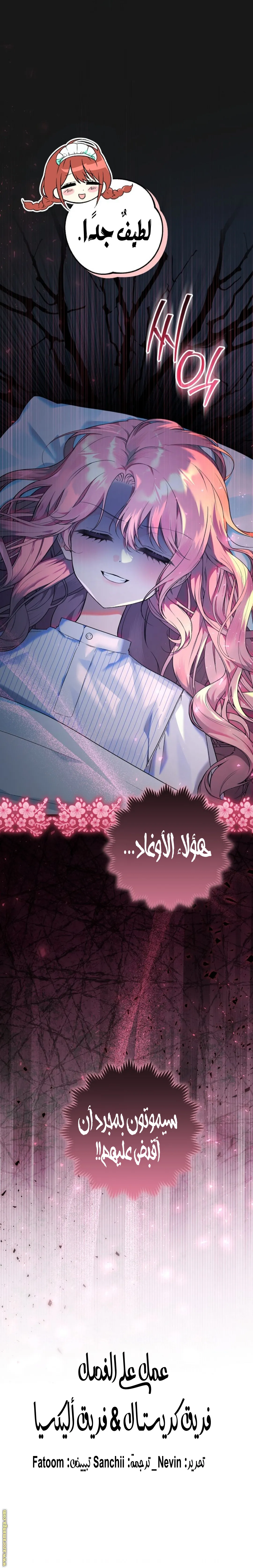 الصفحة 17