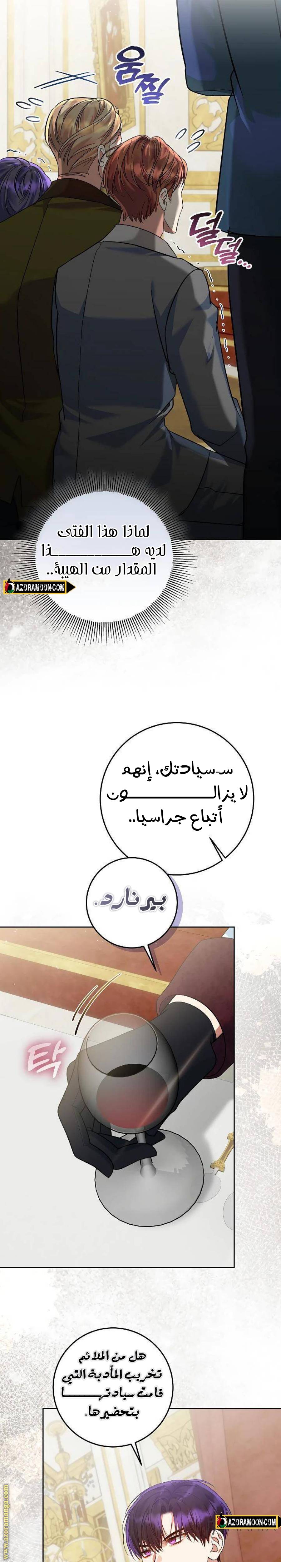 الصفحة 13