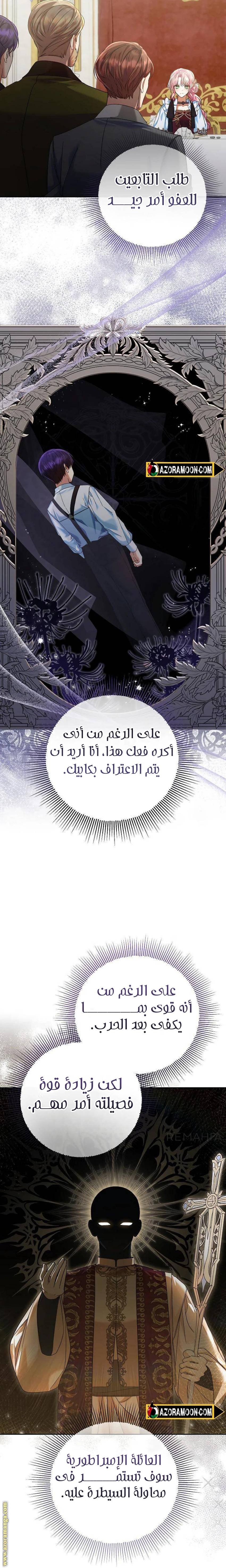 الصفحة 17