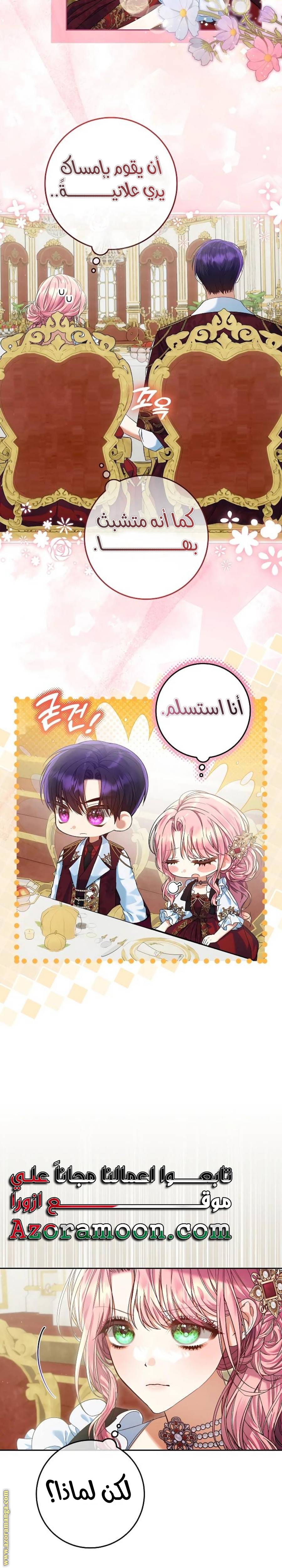 الصفحة 20