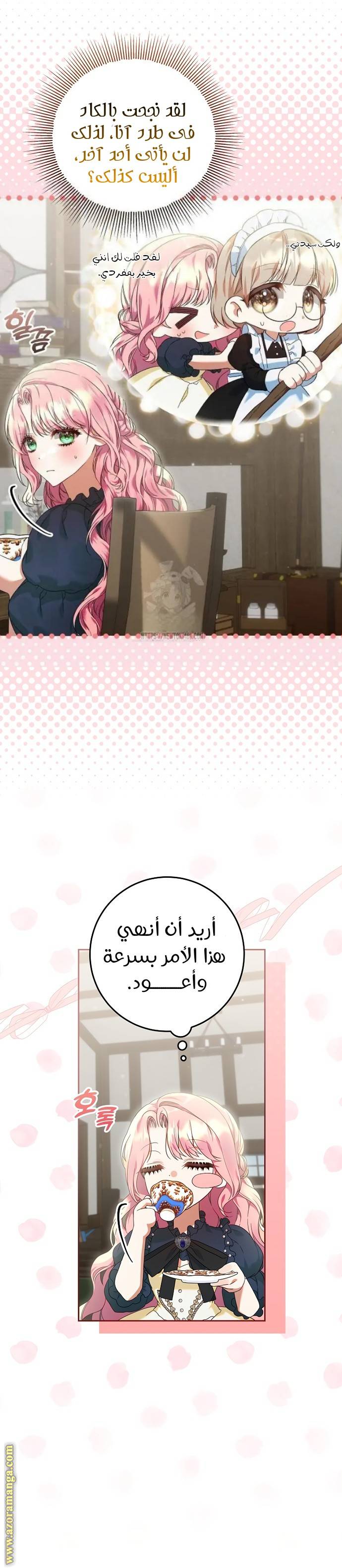 الصفحة 13
