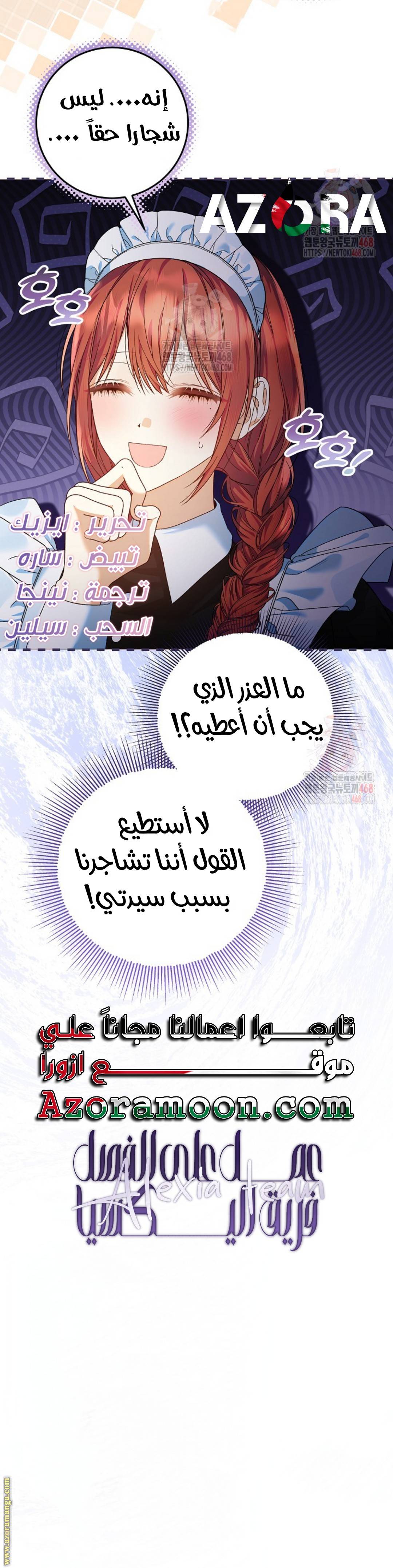 الصفحة 17