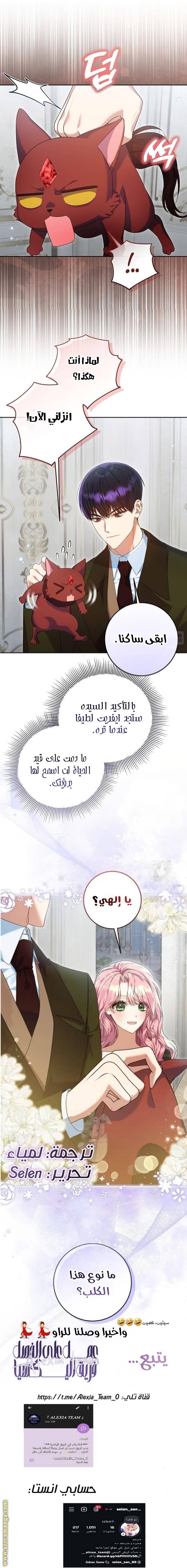 الصفحة 13