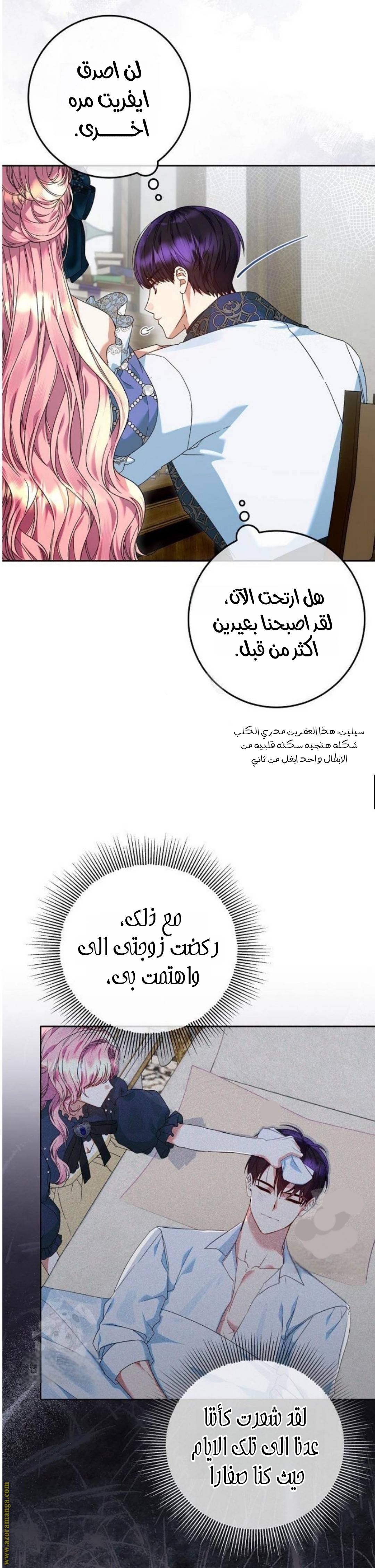 الصفحة 13
