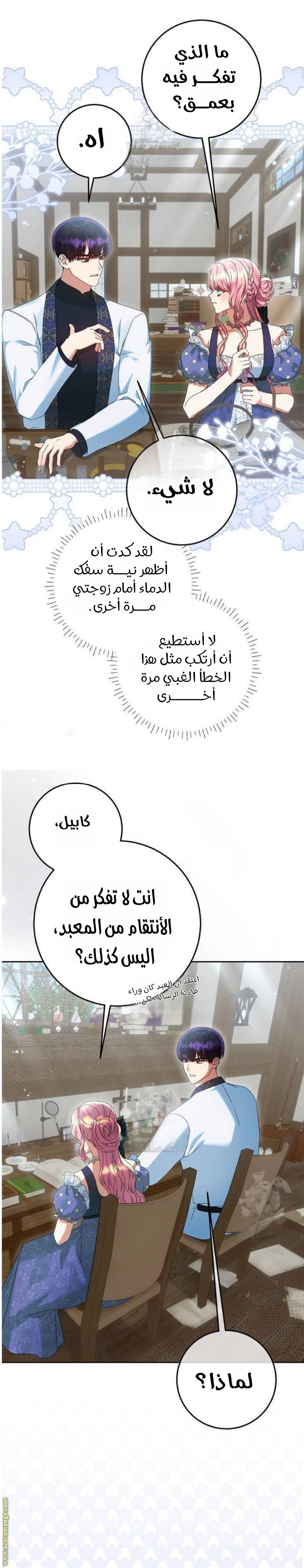 الصفحة 17