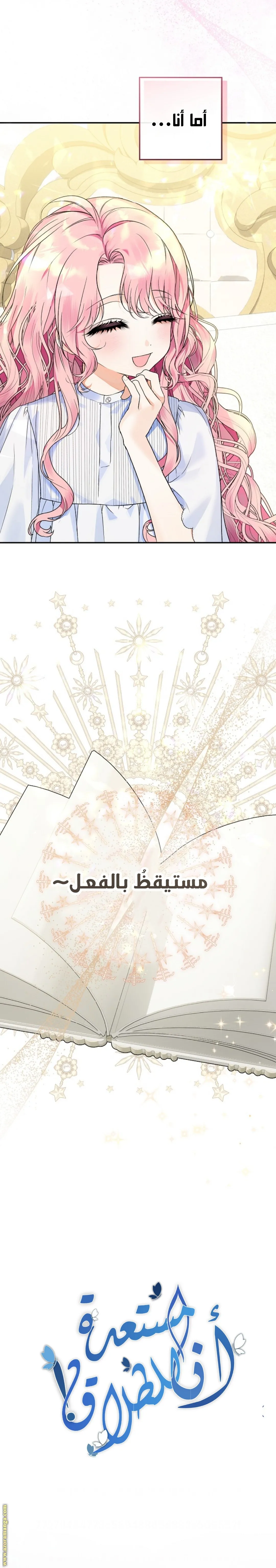 الصفحة 3