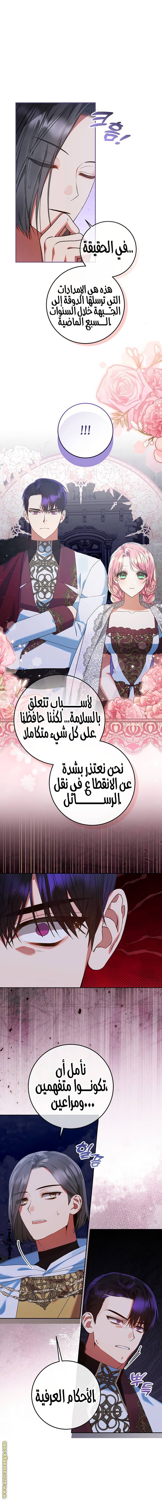 الصفحة 11