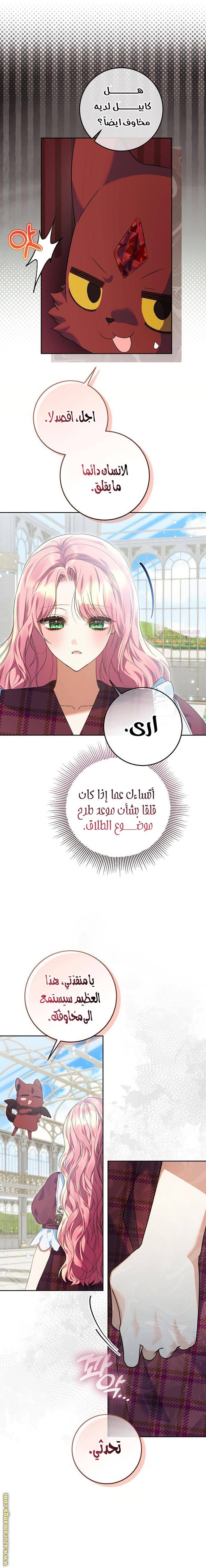 الصفحة 14