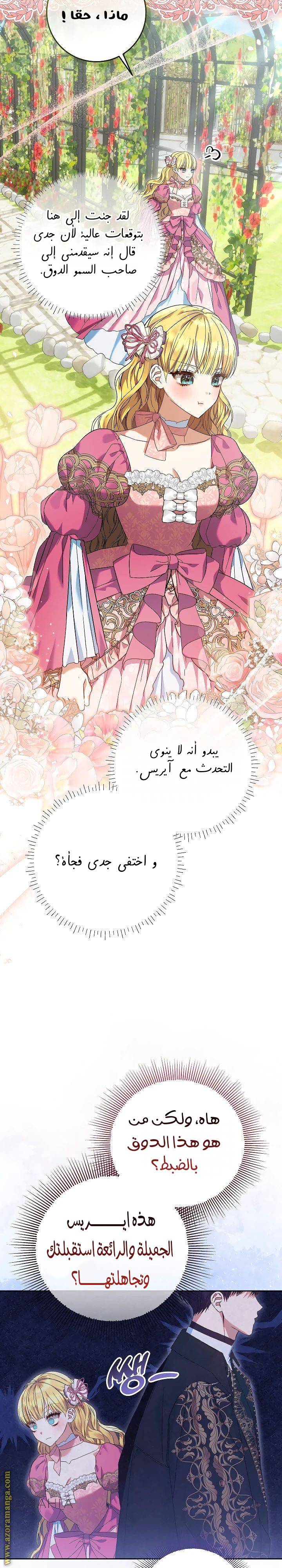 الصفحة 17