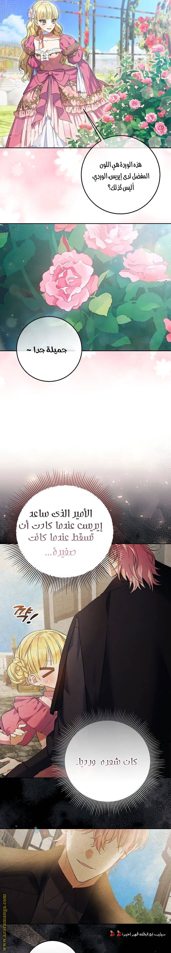 الصفحة 19