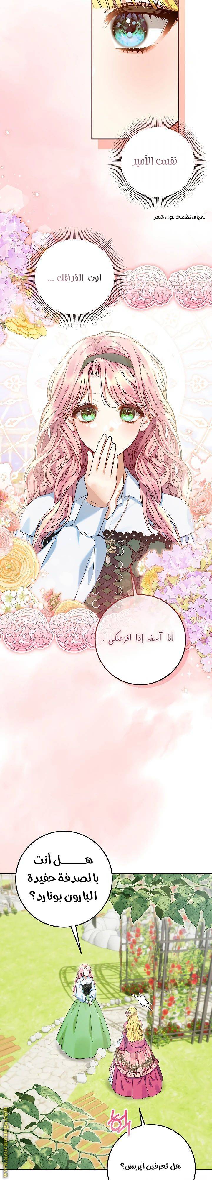 الصفحة 21