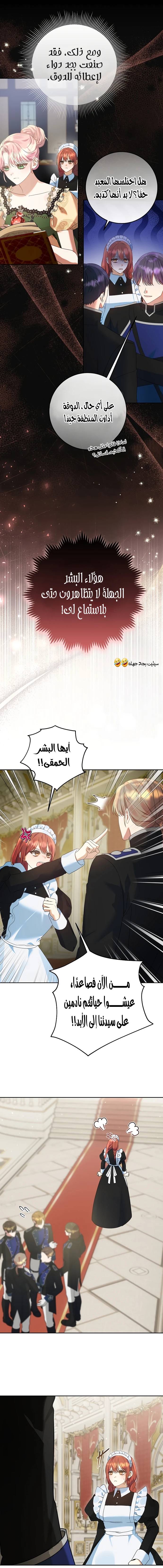 الصفحة 12