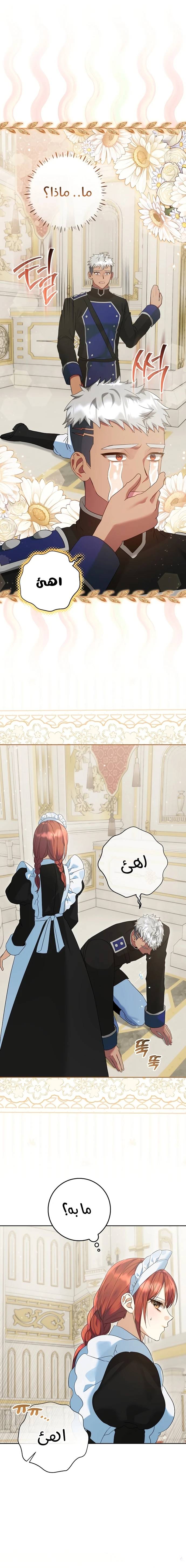 الصفحة 13