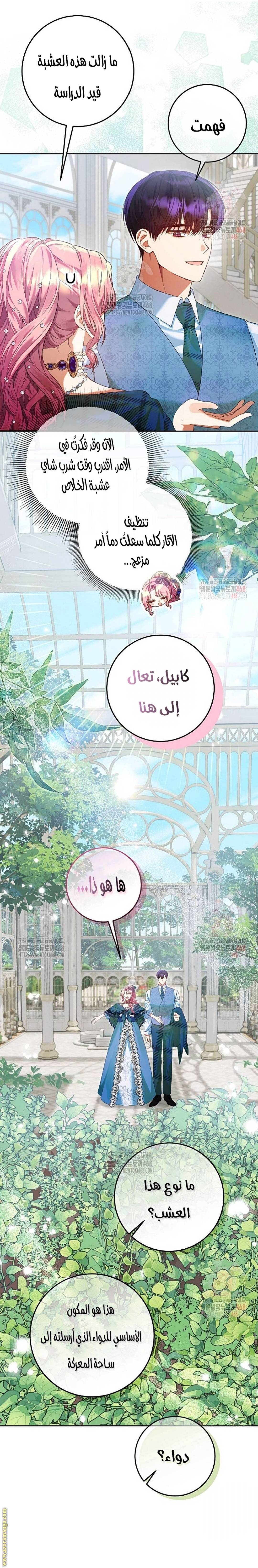 الصفحة 3