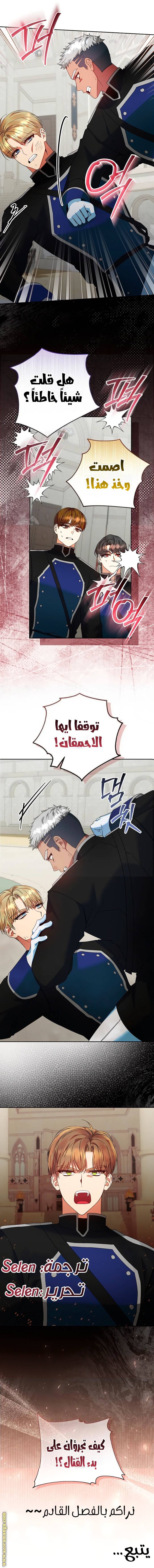 الصفحة 17