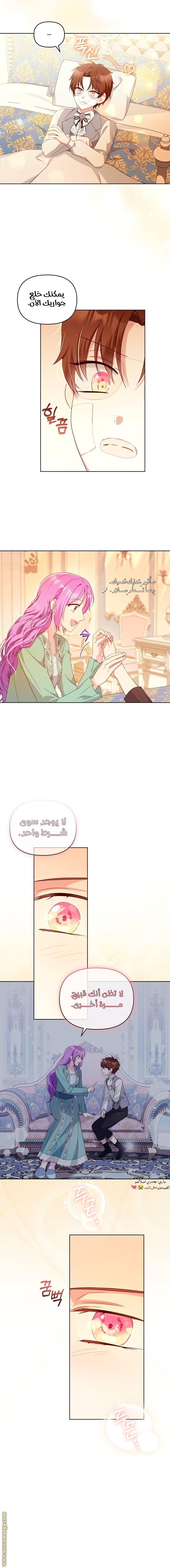 الصفحة 3