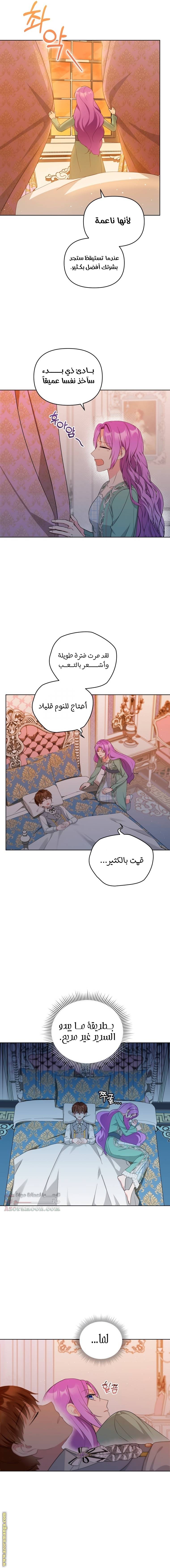 الصفحة 6