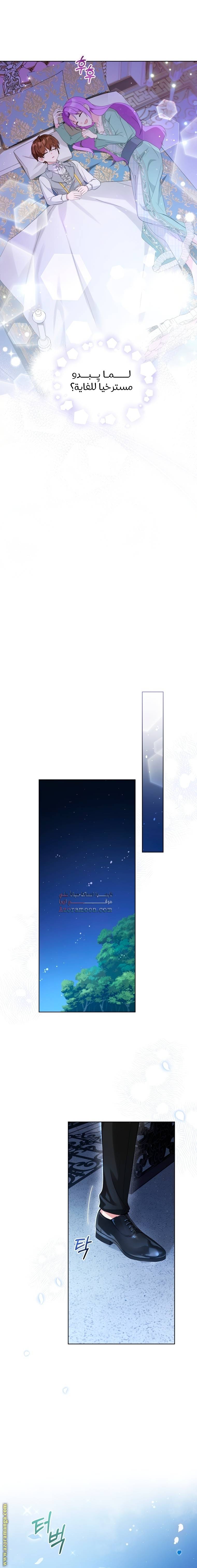 الصفحة 7