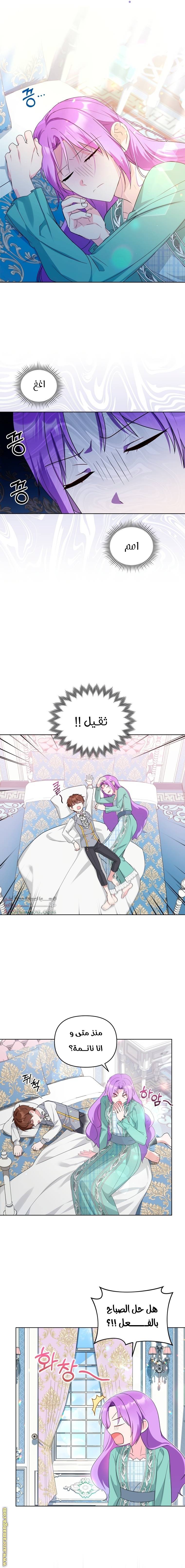 الصفحة 11