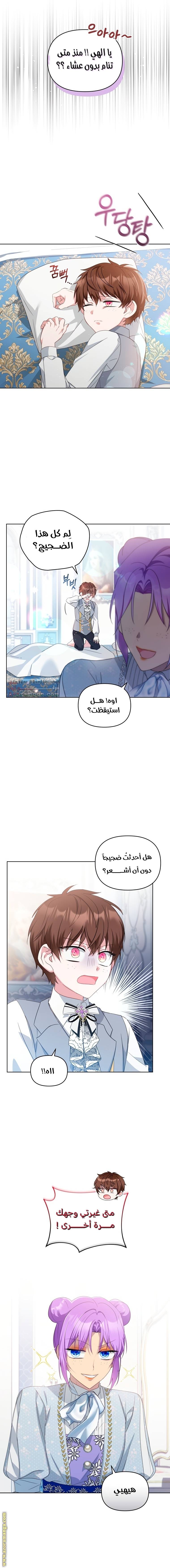 الصفحة 12