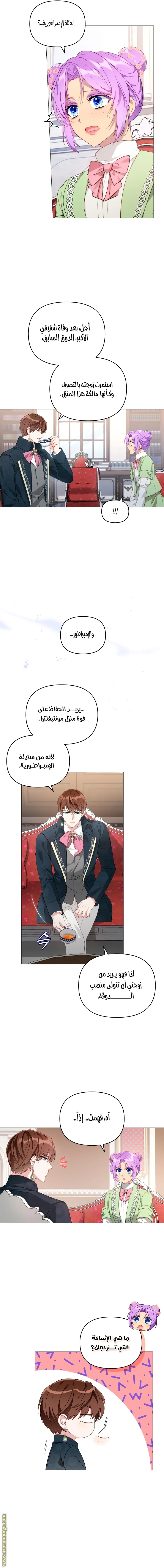 الصفحة 8