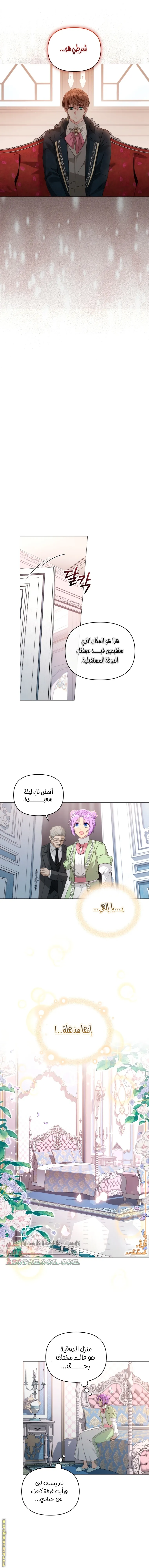 الصفحة 11