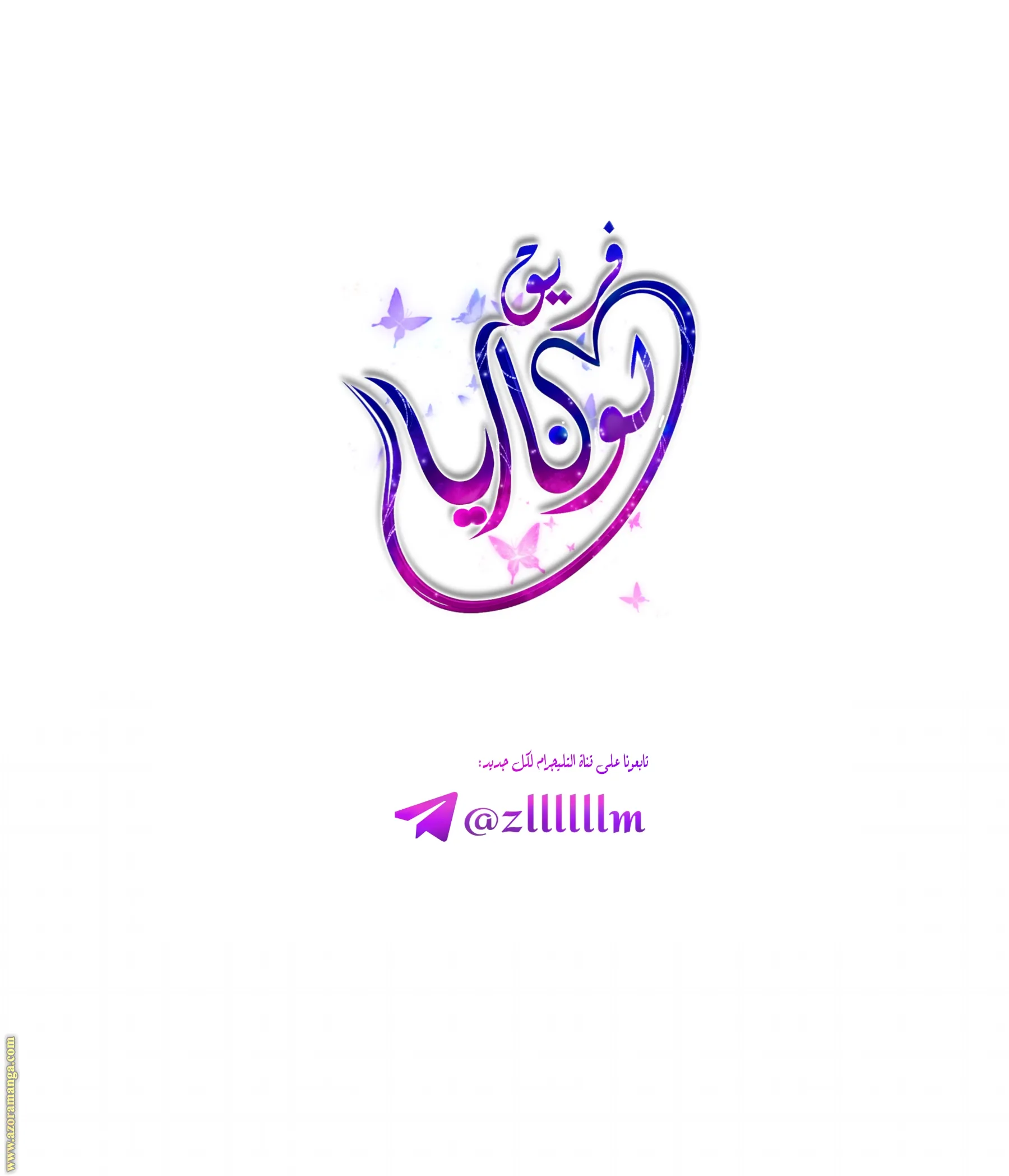 الصفحة 17