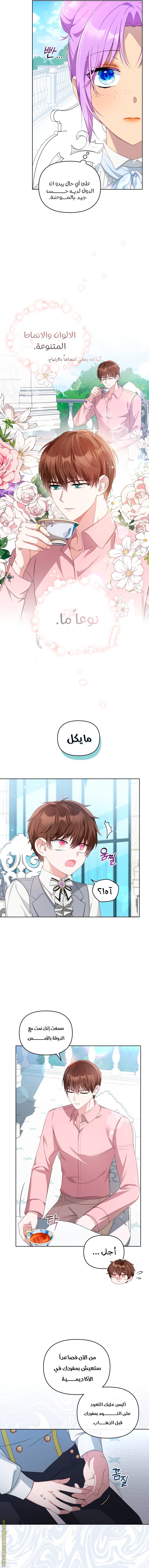 الصفحة 3