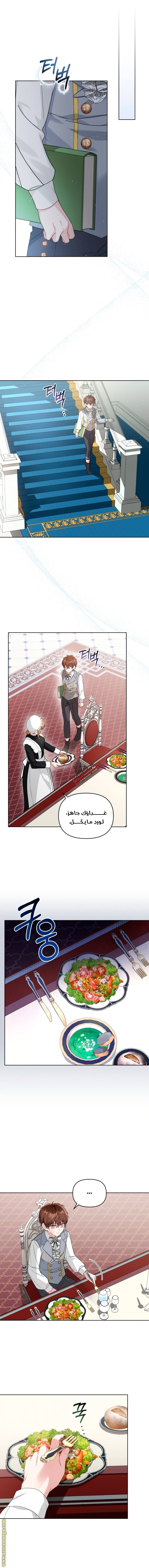 الصفحة 8