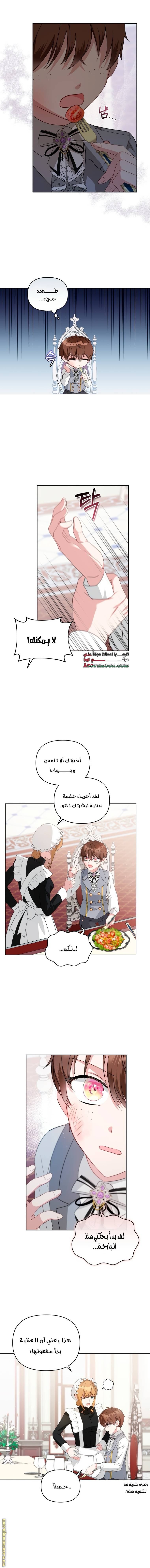 الصفحة 10
